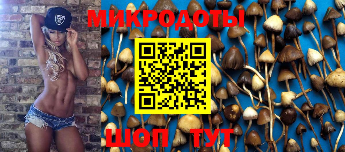 Псилоцибиновые грибы мухоморы Канаш