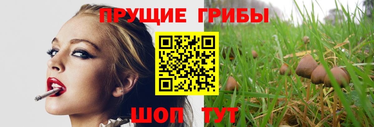 Канаш  Галлюциногенные грибы Cubensis  Вход с VPN 
